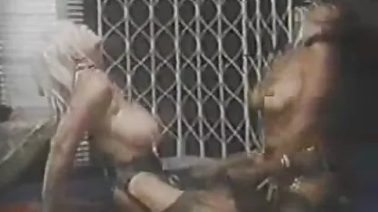 Exemplo candy Uschi digart & play vídeos pornô americano