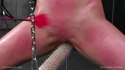 Queensnake.Com tackrider. / sharon larissa manoela xvideos