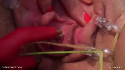 Rata de produto ... queensnake.Com - queensect.Com  filmes adultos eroticos