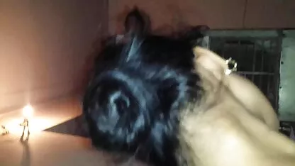 Indio., xvideos amador lésbica