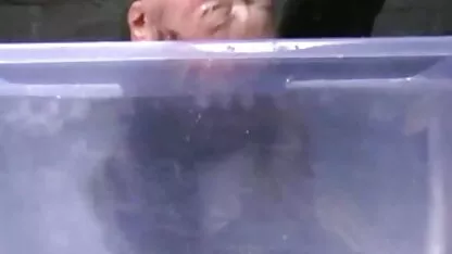 Bondage Japan Teen and water torture quero ver filme de sexo pornô ao vivo