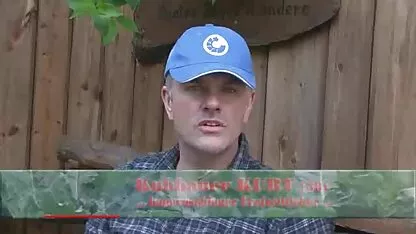 Bauer sau 5 (54012)) vídeos pornô samba pornô