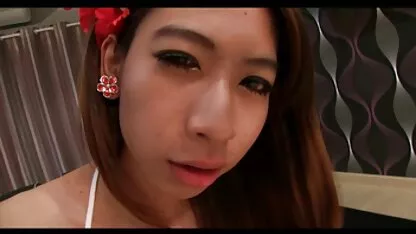 Broca da penthouse de cristal Shemale parodias de filmes porno