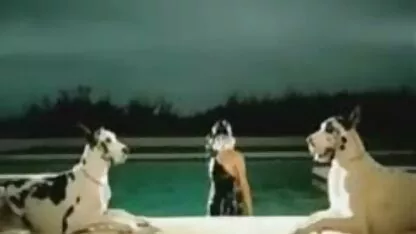 Lady gaga. incesto as brasileirinhas