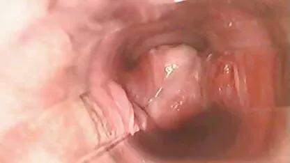Dentro da vagina durante o orgasmo l7